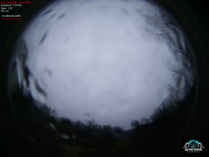2026-10-20