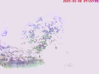 2025-05-08