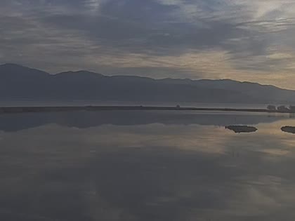 2025-06-05
