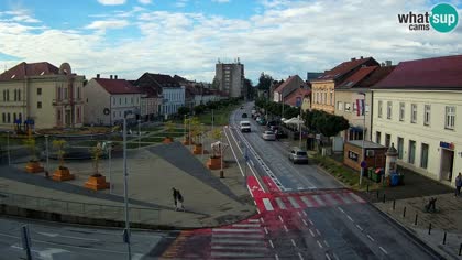 2026-05-12