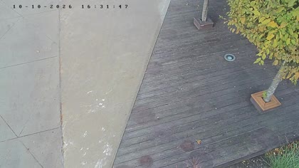 2026-10-10