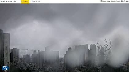 2026-07-28