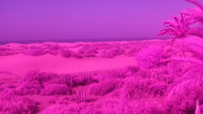 2026-05-25