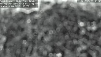 2025-07-31