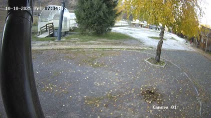 2025-10-10
