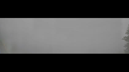 2025-08-20