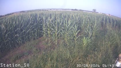 2026-08-30