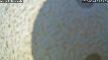 2025-08-01