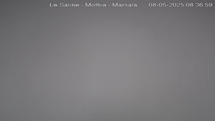 2025-05-08