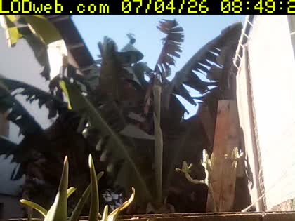 2026-07-04