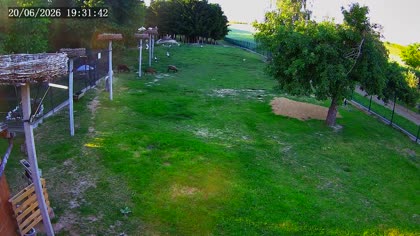 2026-06-20