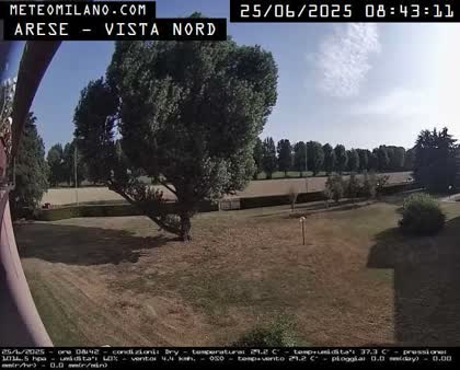 2025-06-25