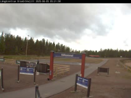 2025-06-05