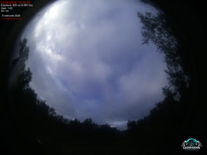 2026-08-03