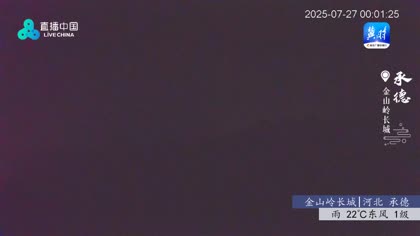 2025-07-28