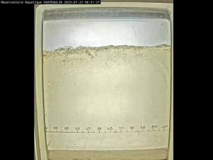 2025-07-22