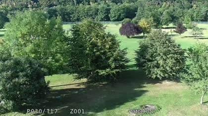 2025-09-03