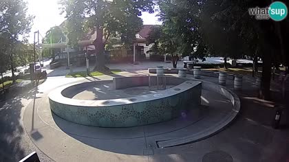 2025-07-13