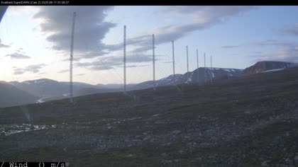 2025-08-11