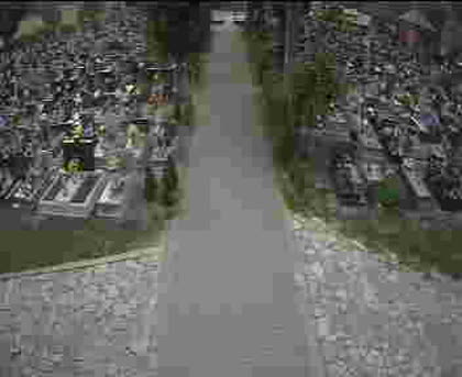 2025-05-26