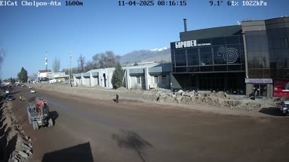 2025-04-11