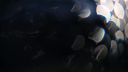 2026-06-19