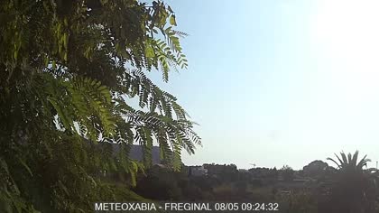 2025-08-05