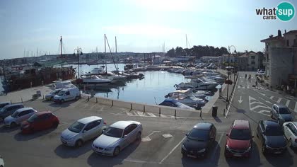 2026-06-25