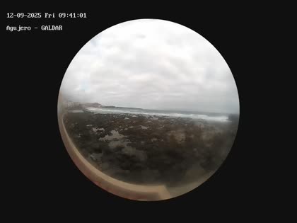2025-09-12