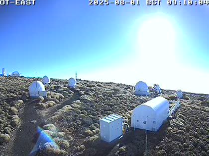 2025-08-01