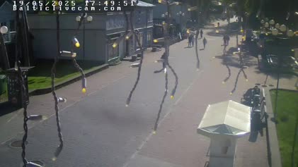 2025-05-20