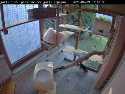 2025-06-09