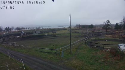 2025-10-05
