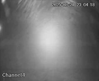 2025-08-22