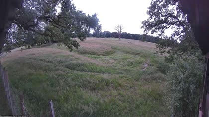 2026-07-09
