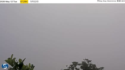 2026-05-12