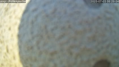 2025-07-03