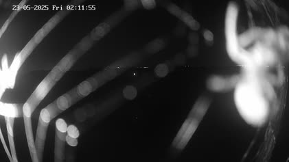 2025-05-23