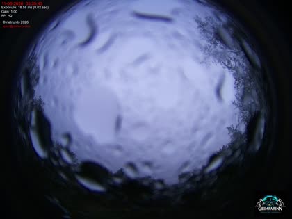 2026-06-11