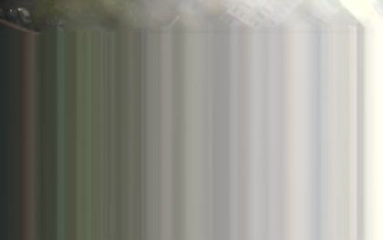2025-10-11
