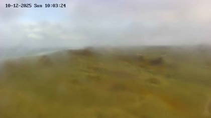 2025-10-12