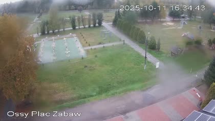 2025-10-11