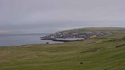 2025-05-07
