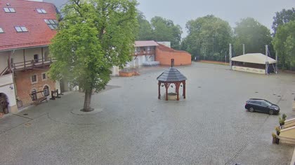 2025-07-09
