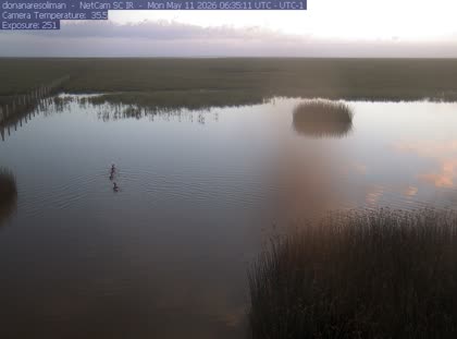 2026-05-11