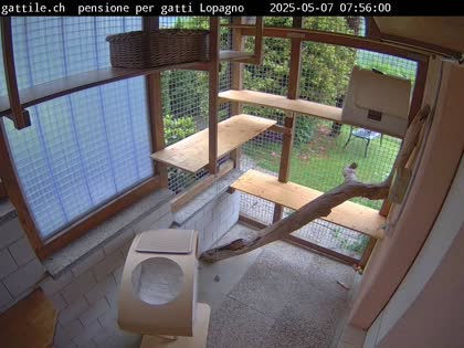 2025-05-07