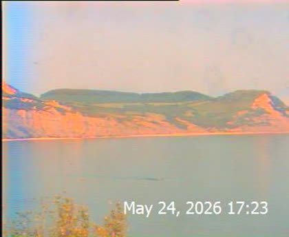 2026-05-25