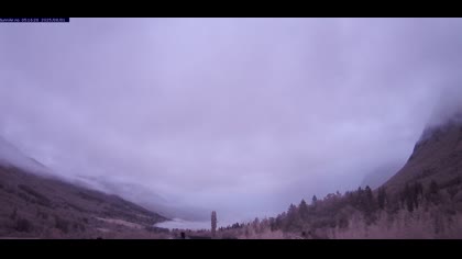 2025-08-01