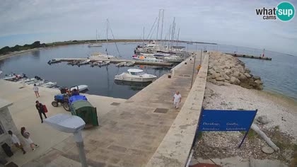 2026-06-18