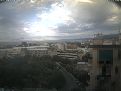 2025-07-12